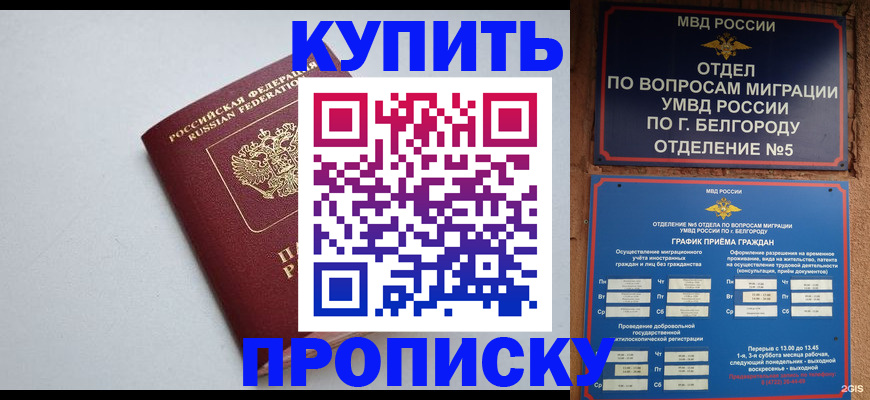 прописка регистрация в Заинске